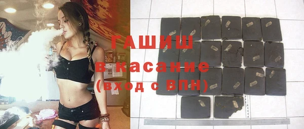 стаф Новозыбков