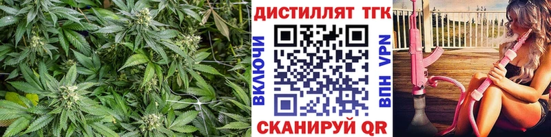 мориарти как зайти  Далматово  ТГК гашишное масло  цены  
