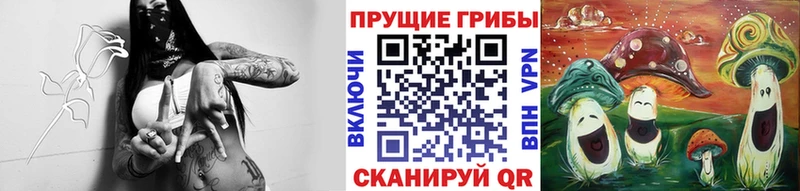 цена   Далматово  Галлюциногенные грибы мицелий 